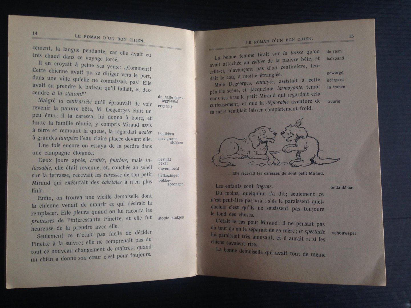 Besbre, Pierre - Le Roman d’un bon Chien