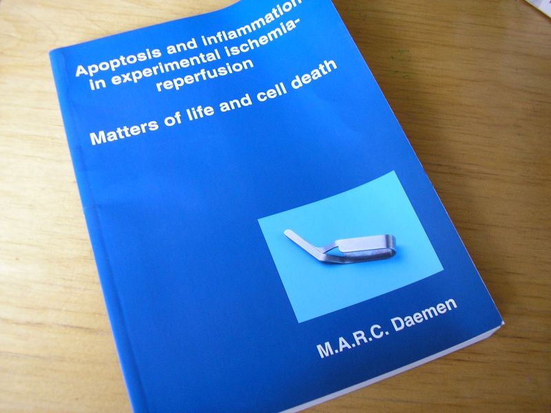 Daemen, M.A.R.C. - Apoptosis and inflammation in experimental ischemia-reperfusion; Matters of life and cell death