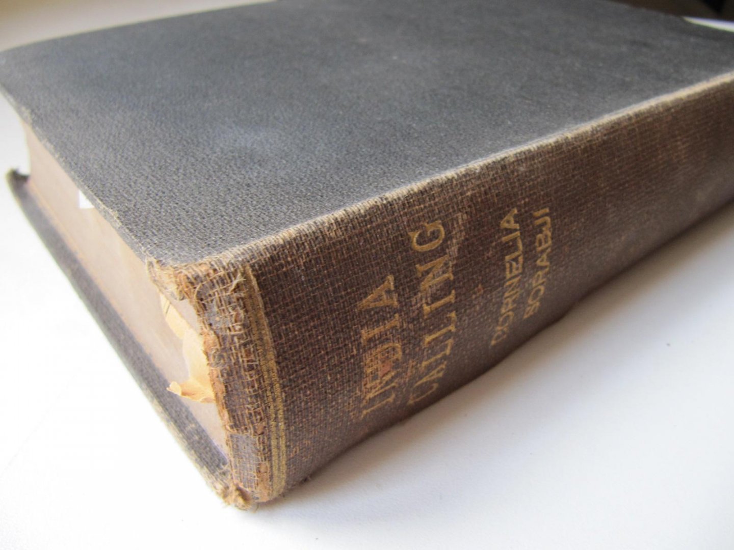  - India Calling - the memories of Cornelia Sorabji