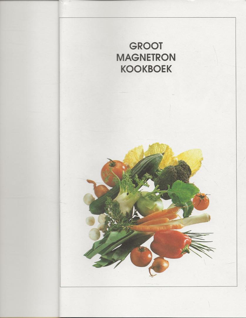 T .  de Lang-van Vught  en Tina Peeters  Mikrowellenkuche leicht gemacht  Angelika Liies - Groot Magnetron  Kookboek