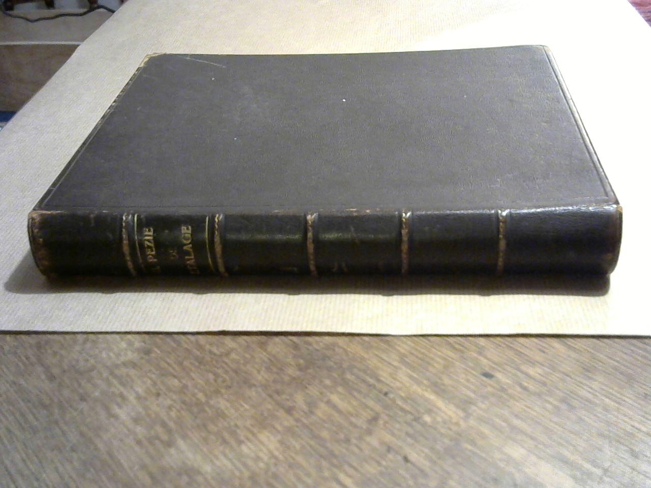 Pezie H. - De Etalage, lesboek over etaleren