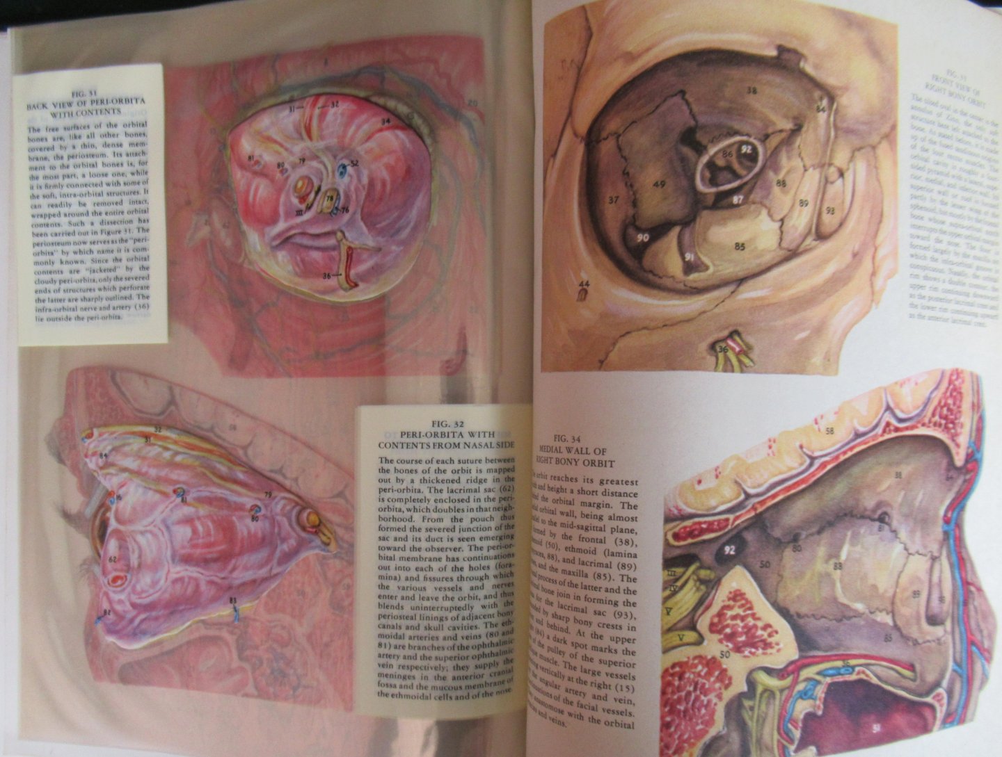 Kronfeld, Peter C.   M.D. - Hugh, Gladys ( illustraties) - Het menselijk oog in transparante illustraties