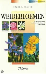Kremer, Bruno P. - Weidebloemen. De belangrijkste en mooiste weidebloemen van Europa leren kennen, herkennen, beschermen