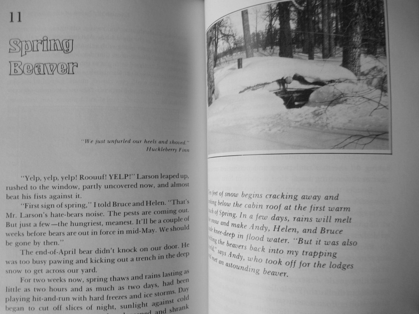 Nault, Andy - Staying alive in Alaska's wild