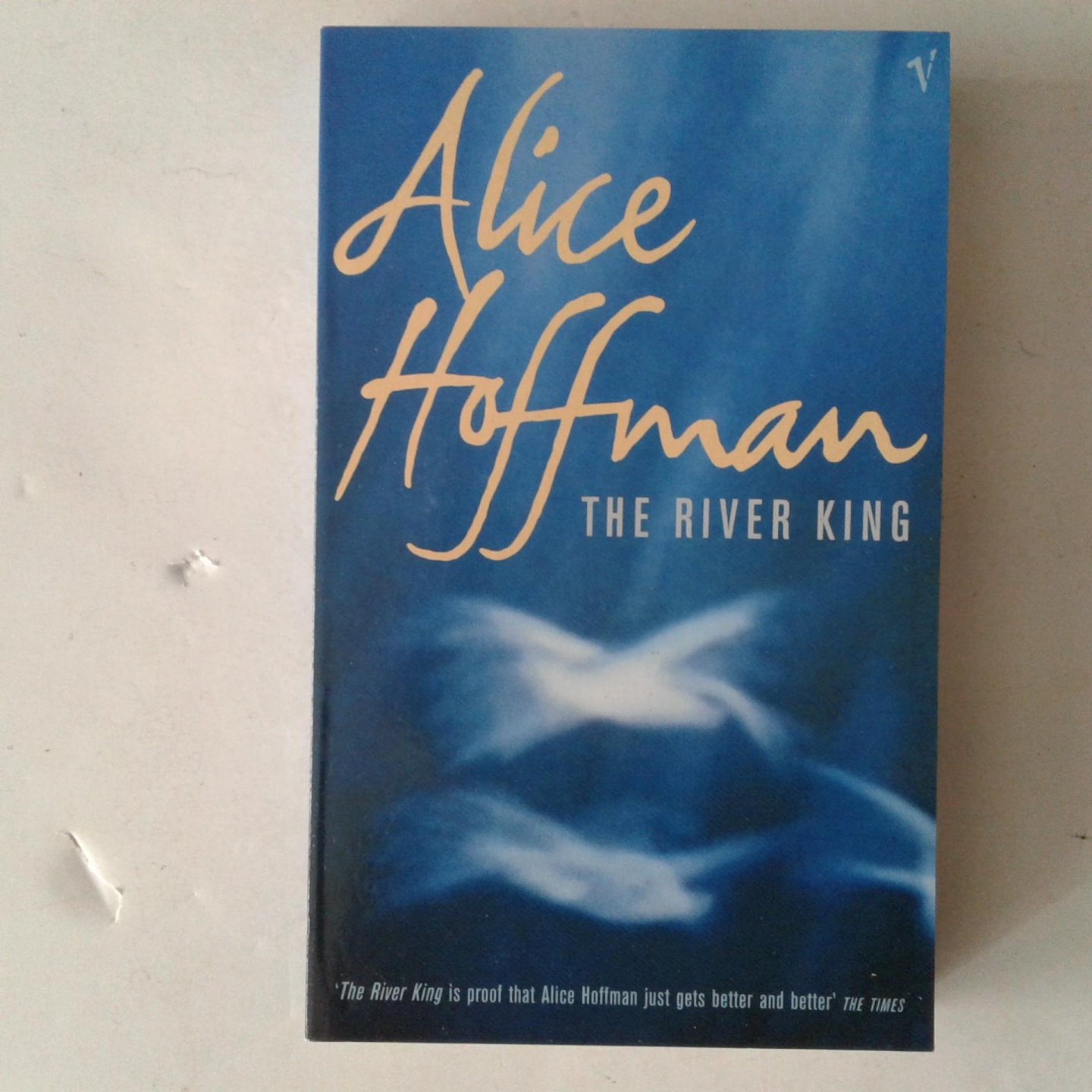Hoffman, Alice - The River King