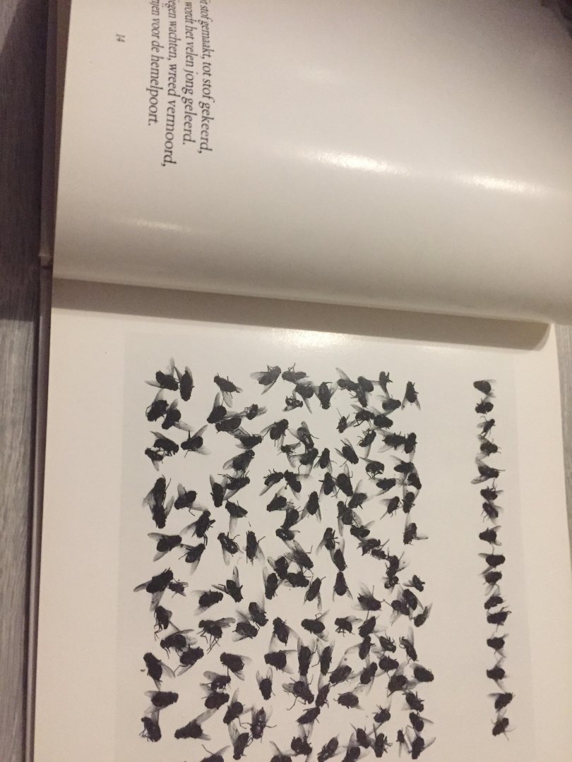 Weidema - Dooie vliegen / druk 1