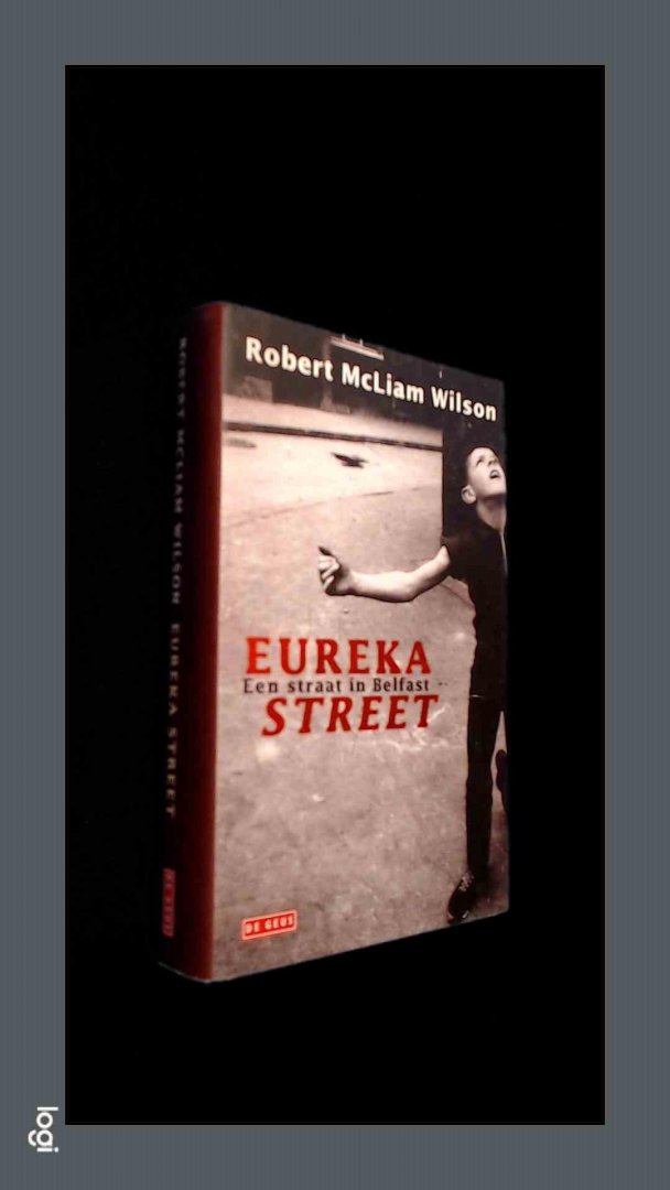 Mcliam Wilson, Robert - Eureka street - Een straat in Belfast