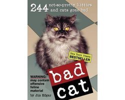 Jim Edgar - Bad Cat