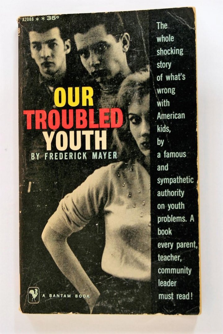 Mayer, Frederick - Our troubled youth