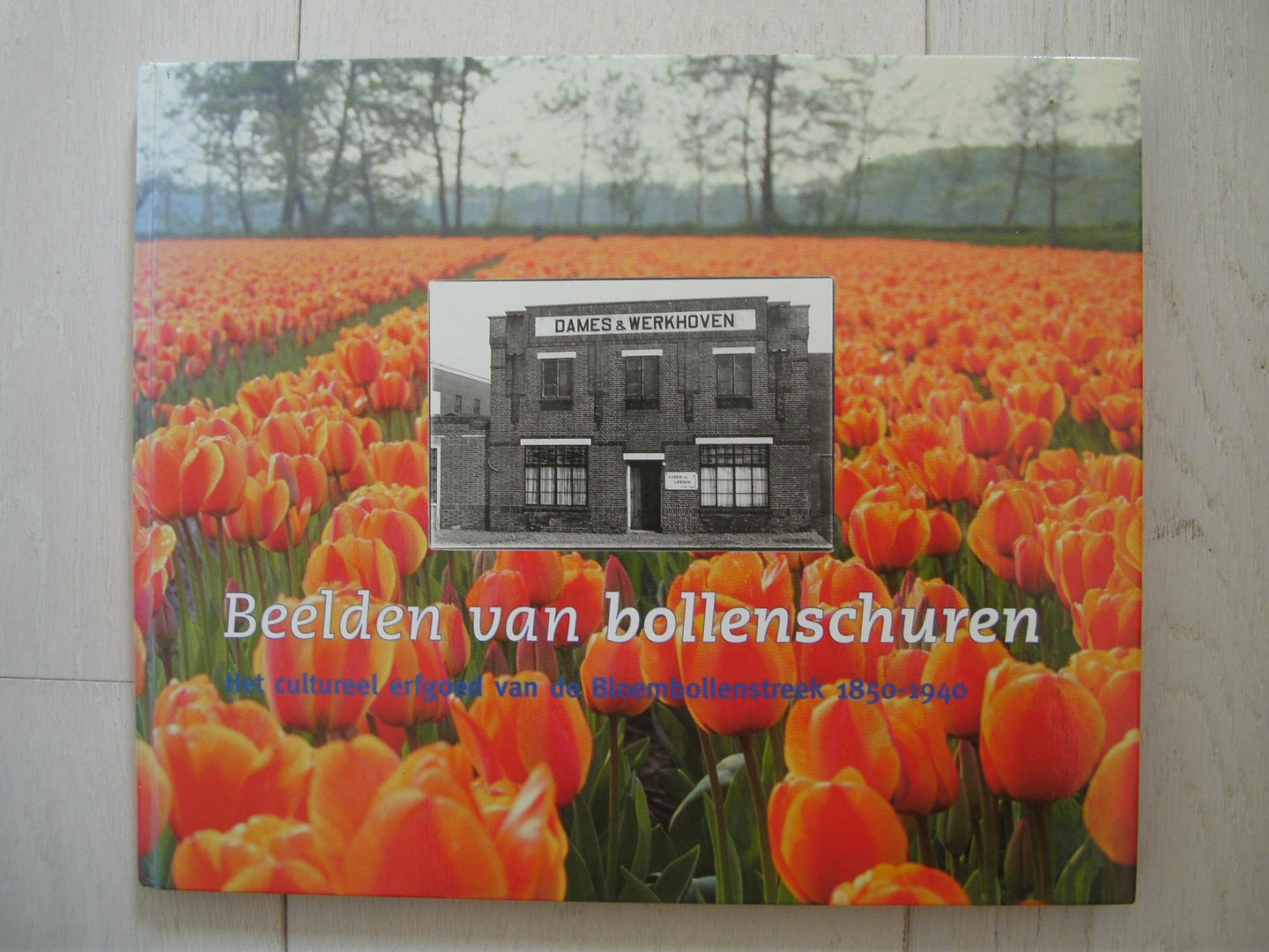 Popma, M. & Jan-Willem Guldemond - Beelden van bollenschuren / druk 1