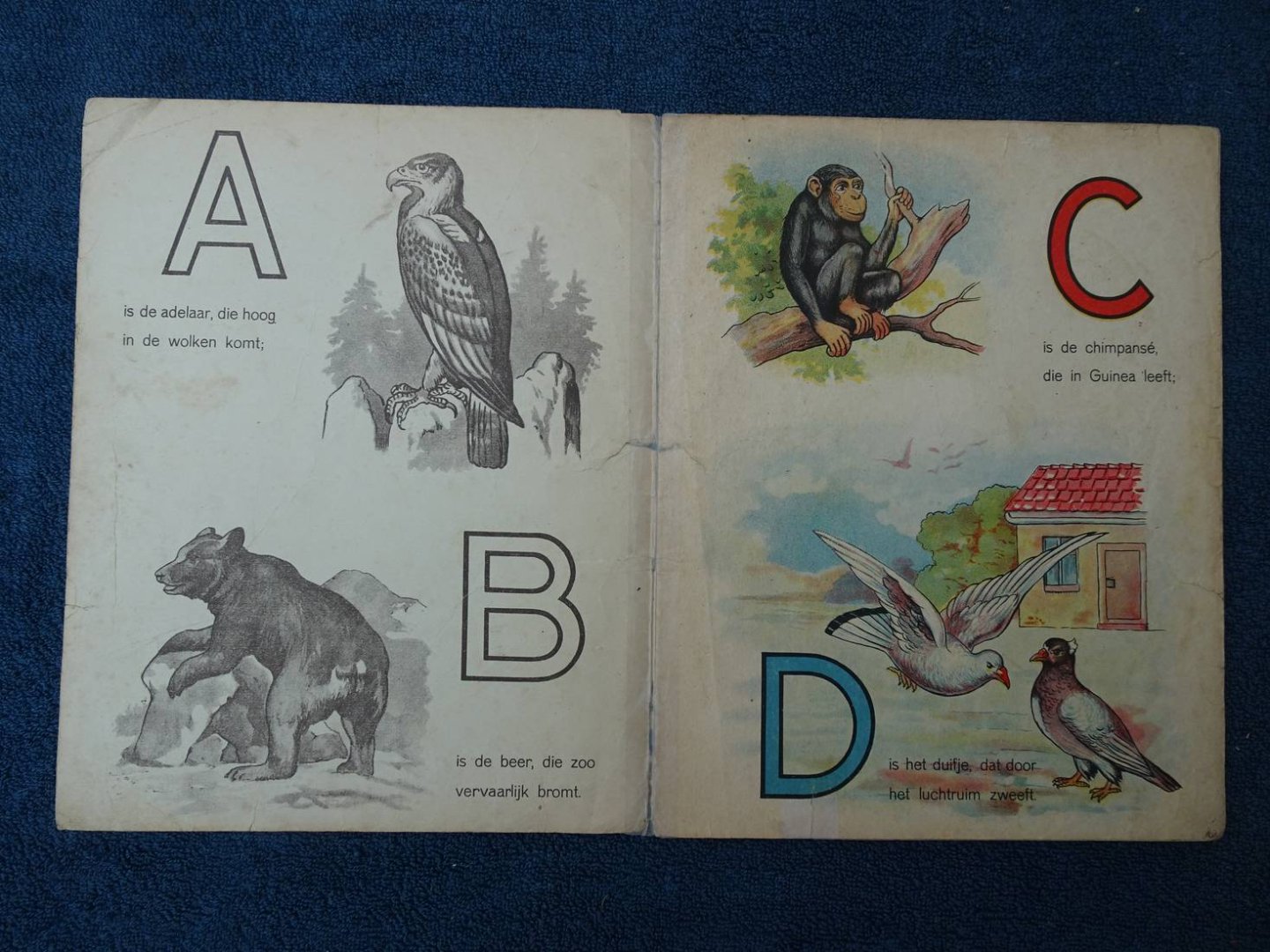 N.n.. - Dieren A.B.C.