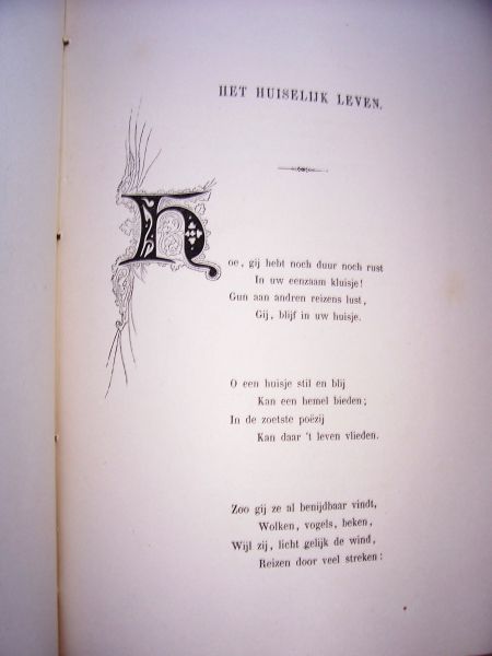 Meurs, B. van - Germania's dichtbloemen verzameld en overgeplant