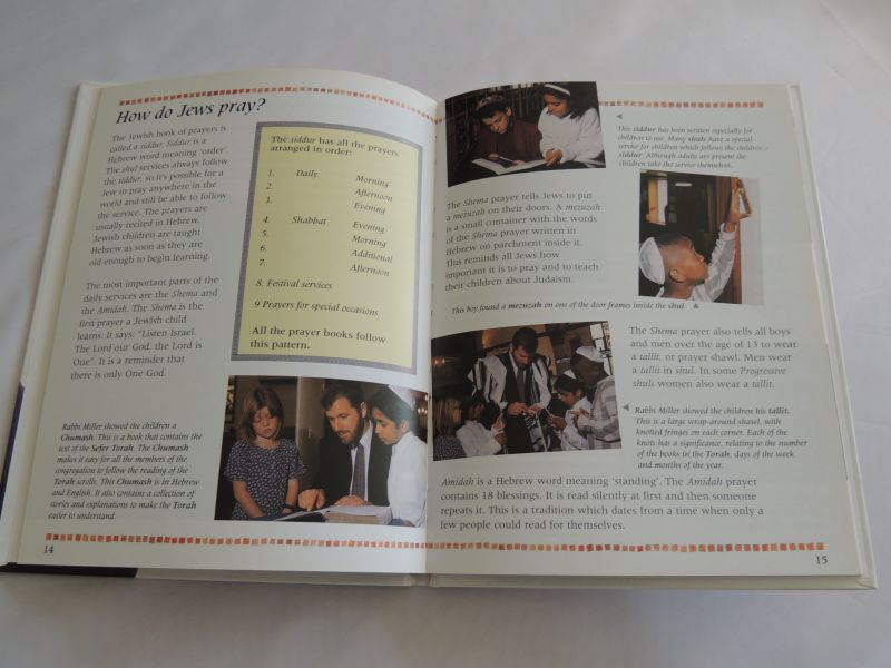 Rosenberg Laurie - KEYSTONES - Jewish Synagogue