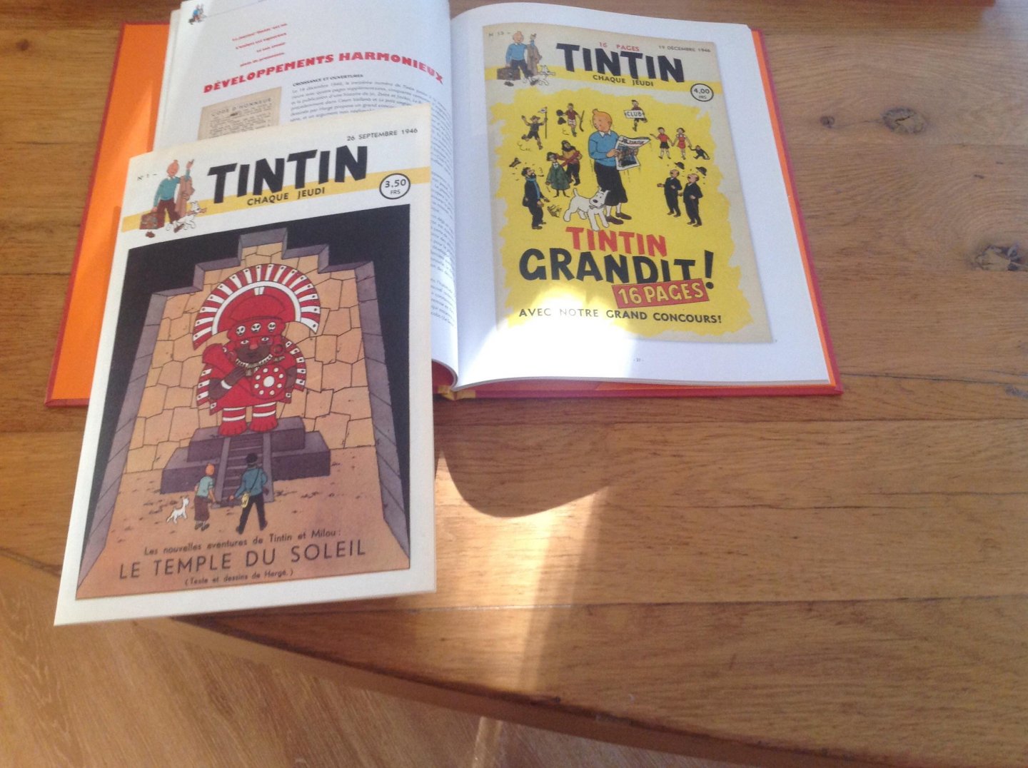 Dominique Maricq - Le Journal Tintin Les Coulisses D'Une Aventure