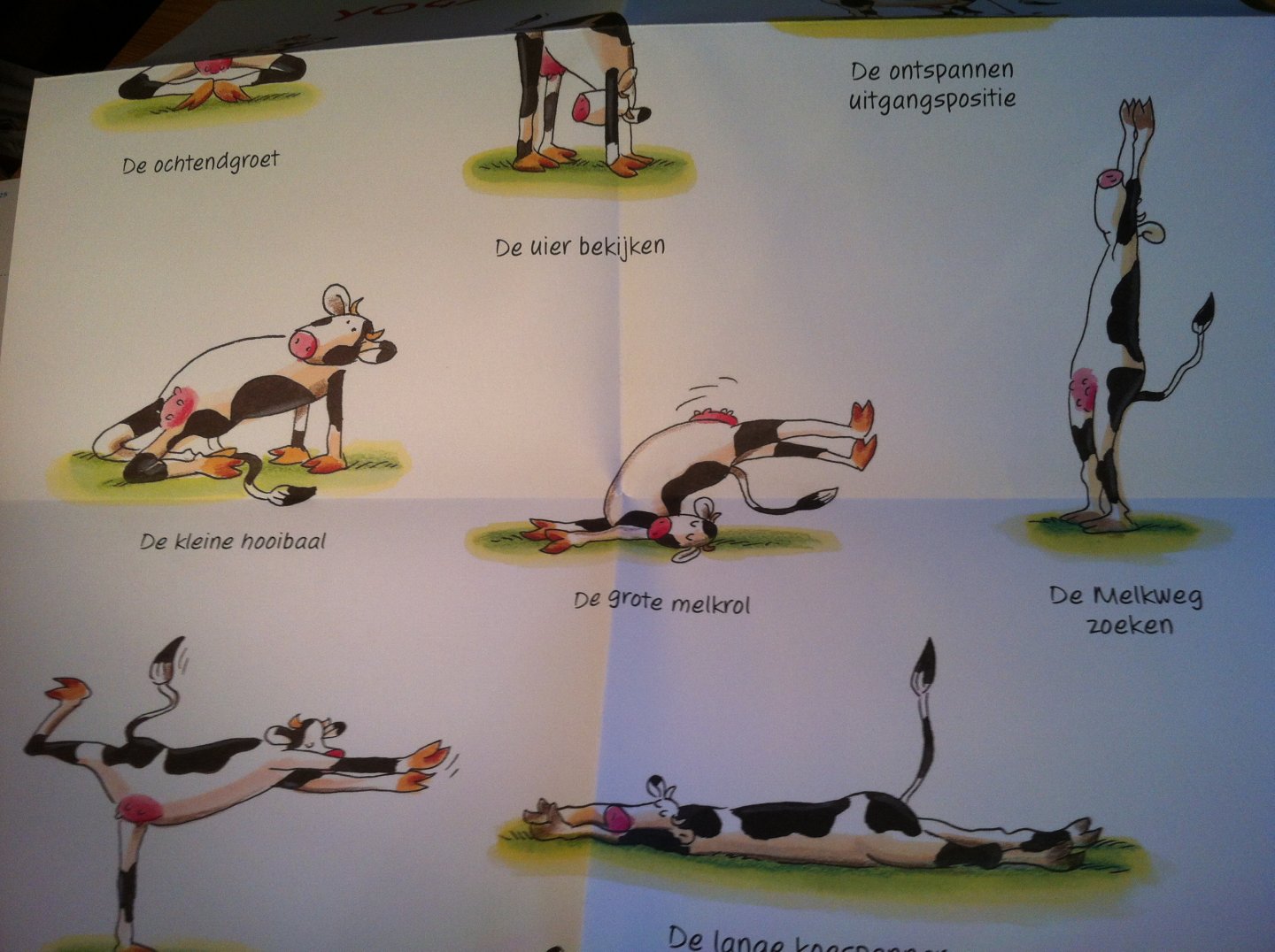 Puth, Klaus - Yoga voor Koeien - mét de poster