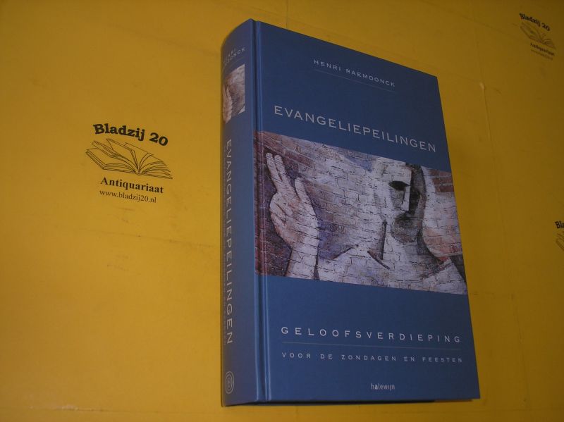 Raemdonck, Henri. - Evangeliepeilingen. Geloofsverdieping voor de zondagen en feesten. Liturgische jaren A-B-C.