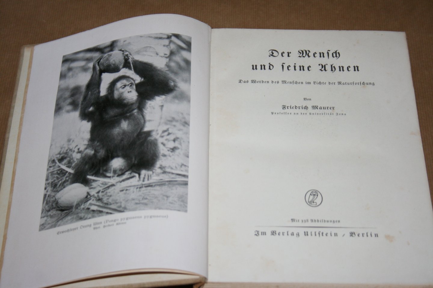 Friedrich Maurer - Der Mensch und seine Ahnen