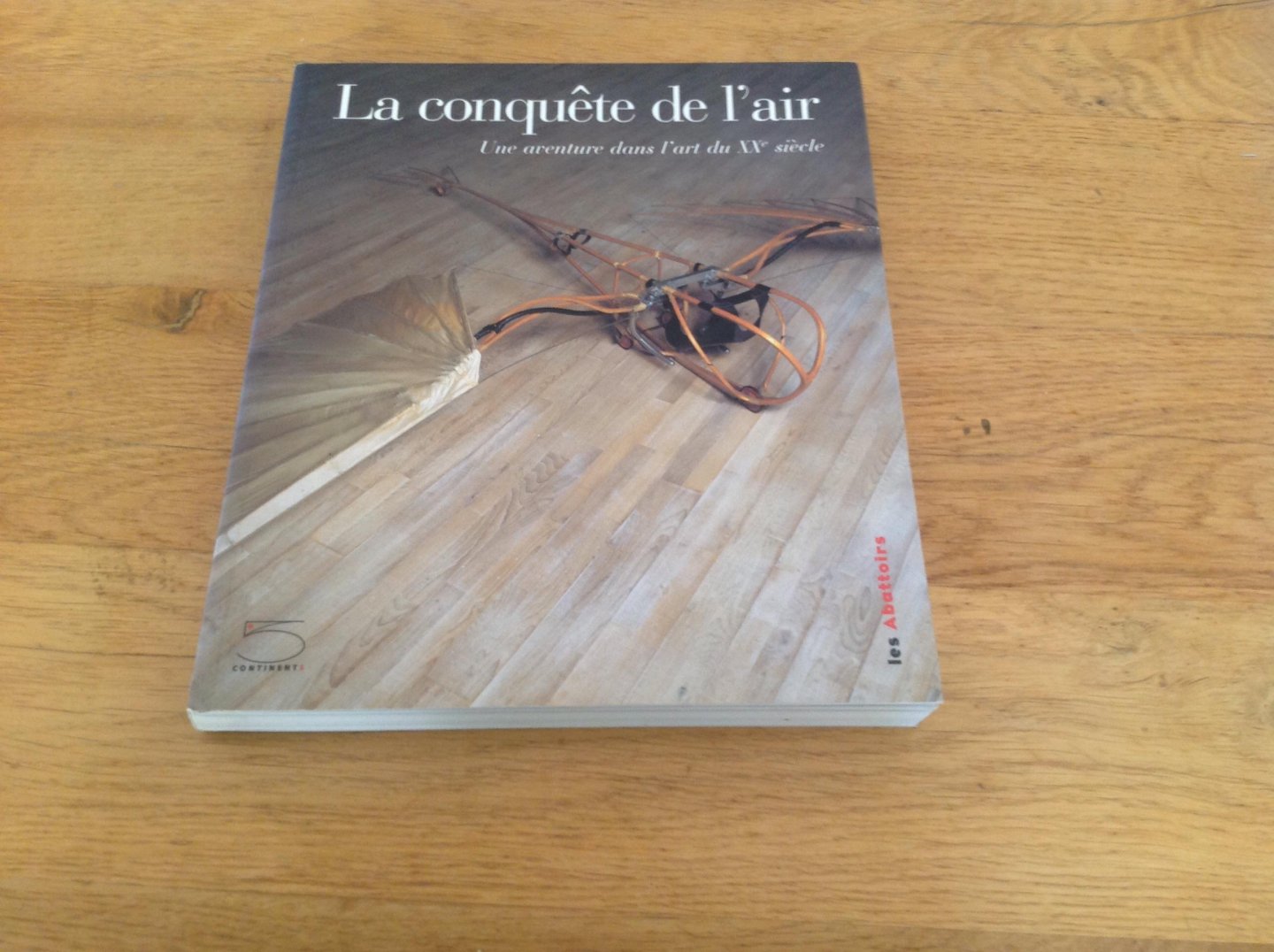  - La Conquête de l'Air : Une Aventure dans L'Art du XXe Siècle.