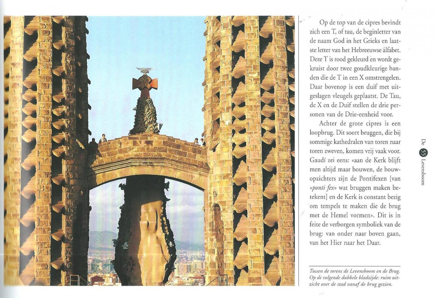 Carandell, Josep (tekst) ; Vivas, Pere (foto’s) - De kerk van de Sagrada Familia Barcelona