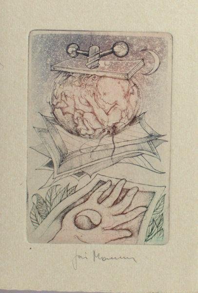 Mommen, Joris. - 'Embryofantasie'