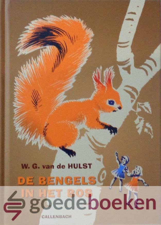 Hulst, W.G. van de - De bengels in het bos *nieuw* - laatste exemplaar!