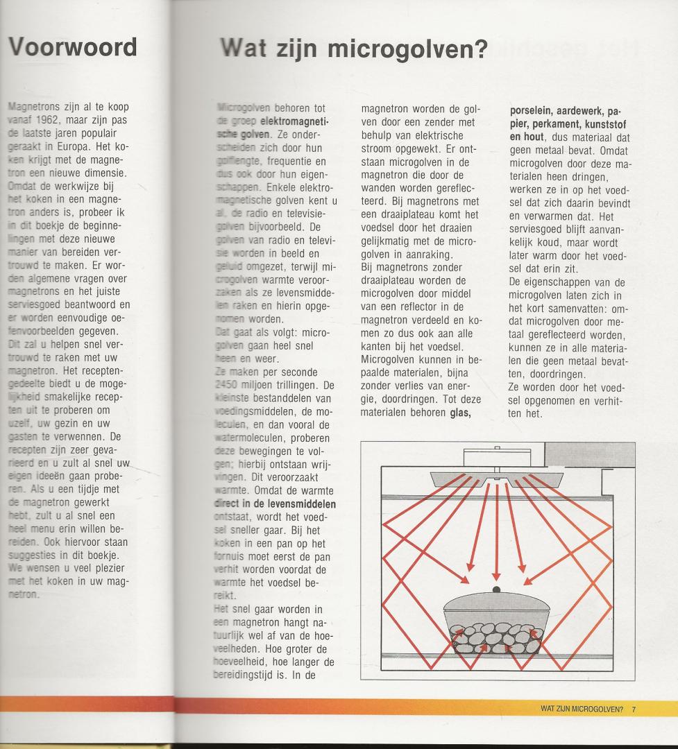 T .  de Lang-van Vught  en Tina Peeters  Mikrowellenkuche leicht gemacht  Angelika Liies - Groot Magnetron  Kookboek