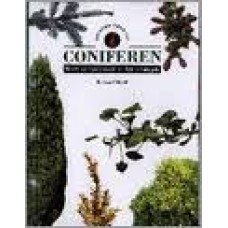 Bird, Richard - Identificeren van coniferen, nieuwe compacte studie-determinatiegids