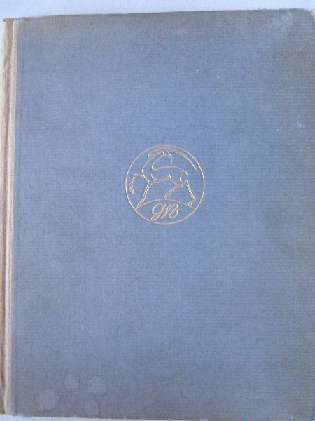 Wilde Oscar - Der junge König.  Der Graphischen Bücher 2. Band