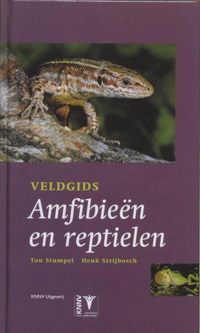 Stumpel, Ton en Henk Strijbosch - Veldgids amfibieën en reptielen