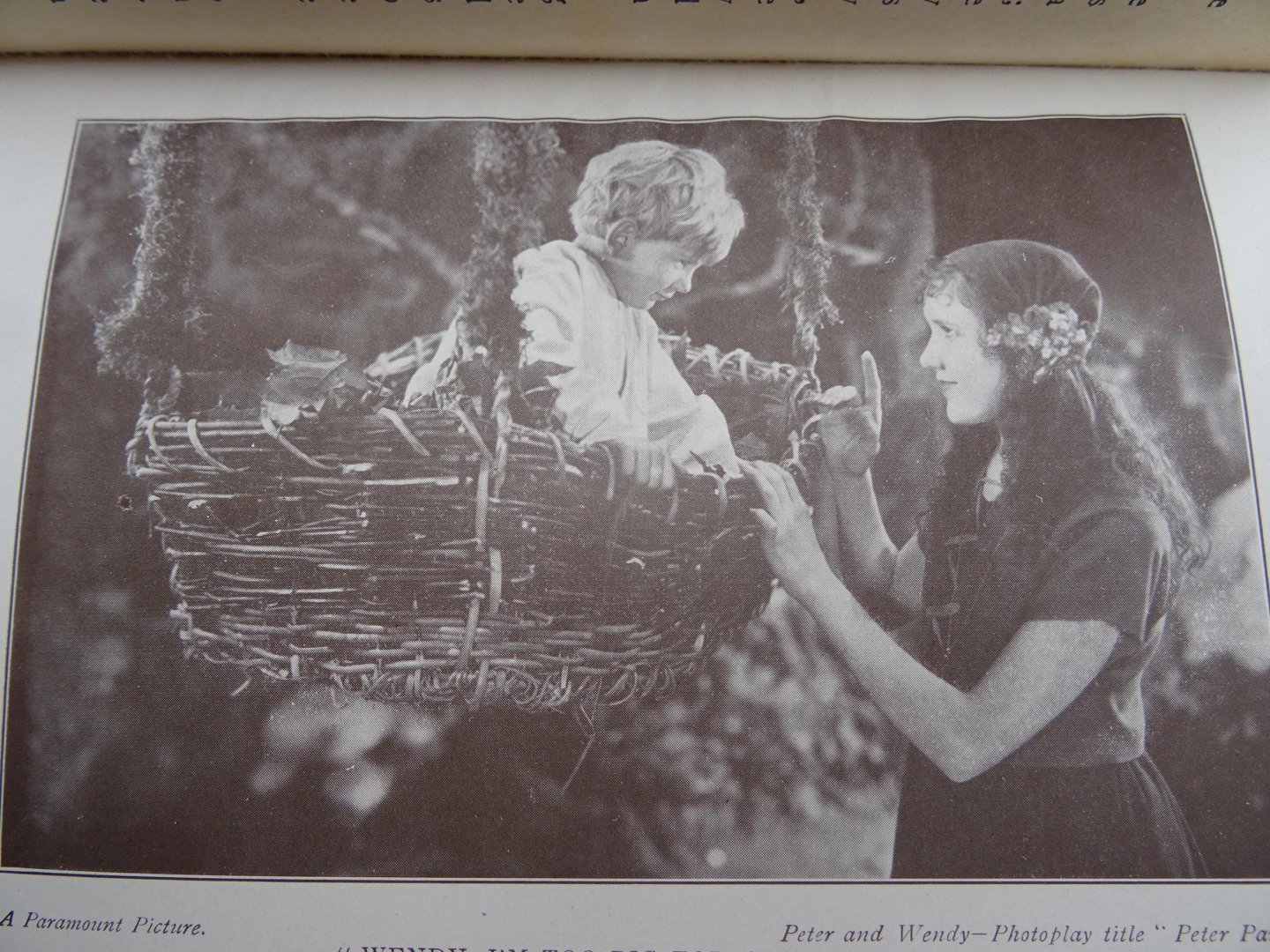 Barrie, James,M. - Peter Pan, the story of Peter and Wendy