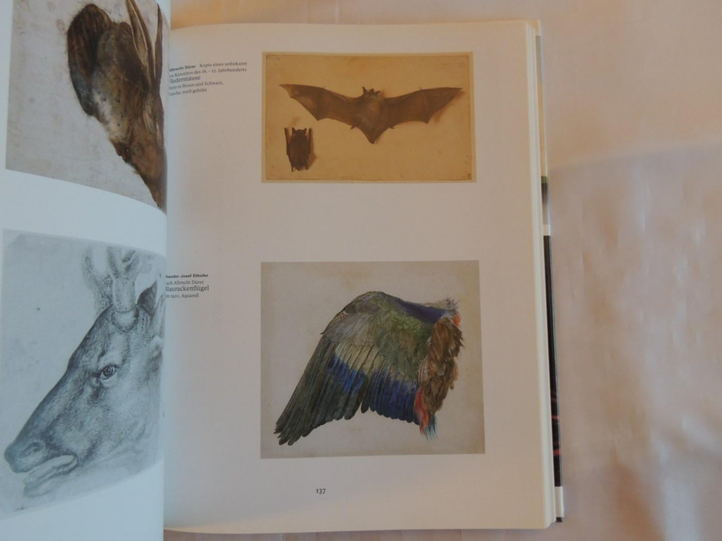 von Dirk Luckow - Petra Gördüren - Dopplereffekt. Bilder in Kunst und Wissenschaft