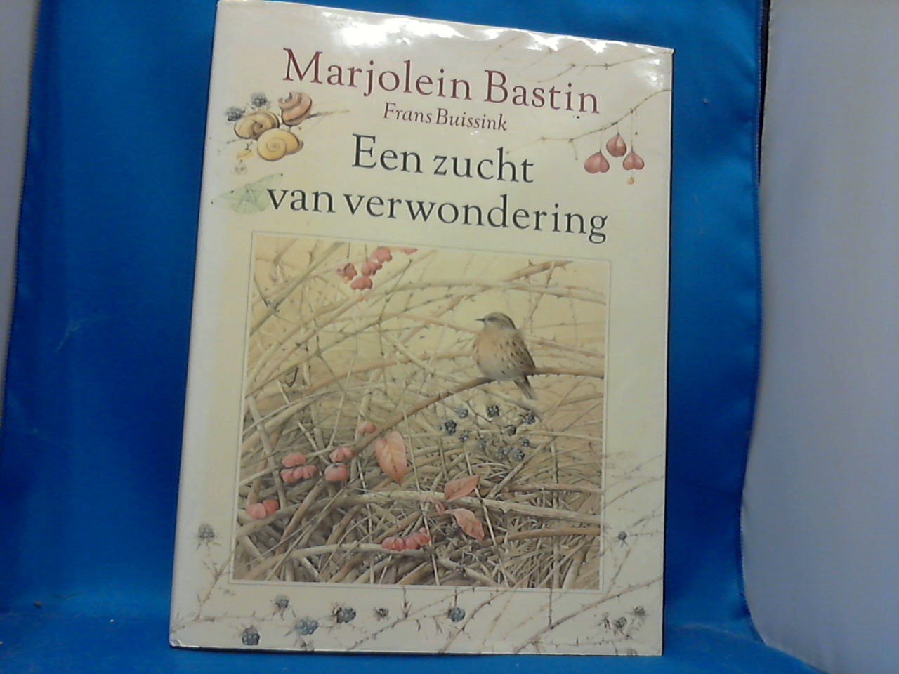 Buissink Frans - Marjolein Bastin een zucht van verwondering