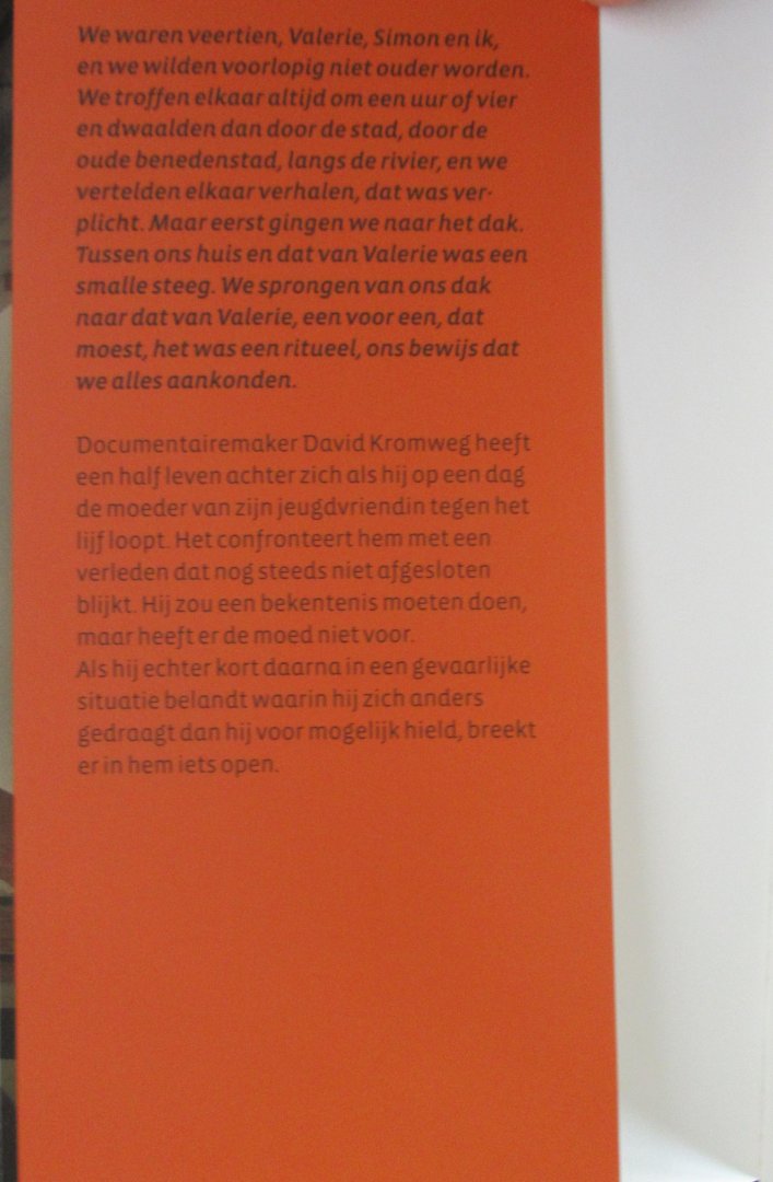 Verbogt, Thomas - Perfecte stilte