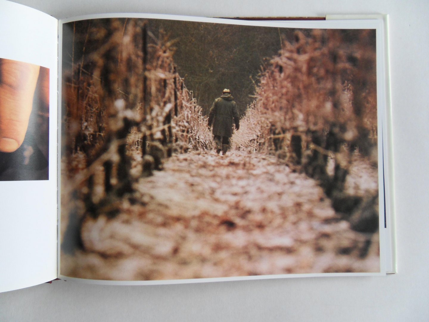 D`Aulan, Francois [ Met GESIGNEERDE opdracht ]. [ 1933 - heden ]. - Two hundred years of Piper-Heidsieck.