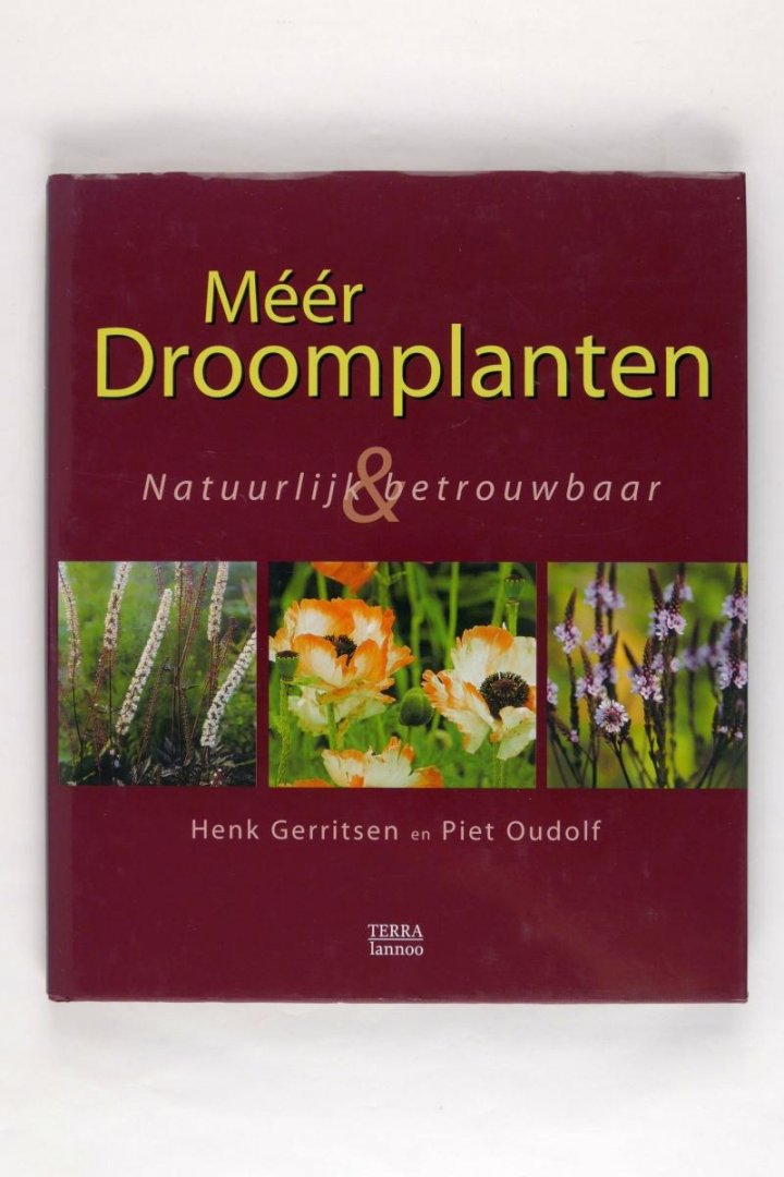 Gerritsen Henk en Piet Oudolf - Méér droomplanten natuurlijk & betrouwbaar ( 5 foto's)