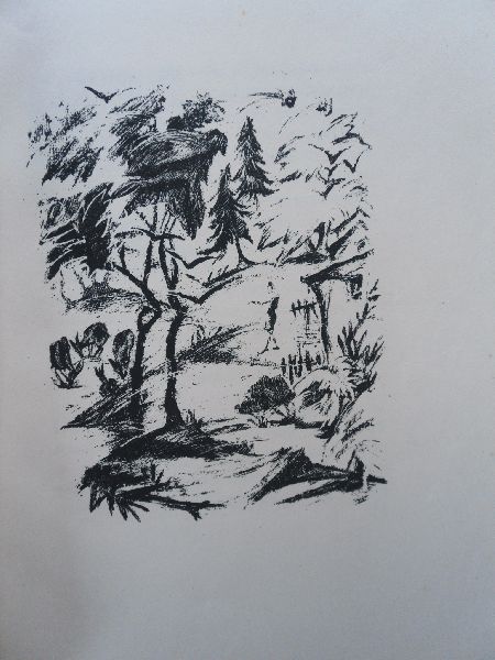 Wilde Oscar - Der junge König.  Der Graphischen Bücher 2. Band