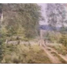 Smit, Aart - Langs binnenpad en brandgang- natuurleven op de Veluwe