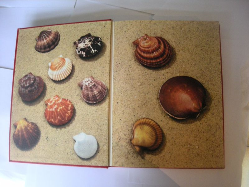 Cox, Ian, editor / eight authors - The Scallop, Studies of a Shell and its Influences on Humankind