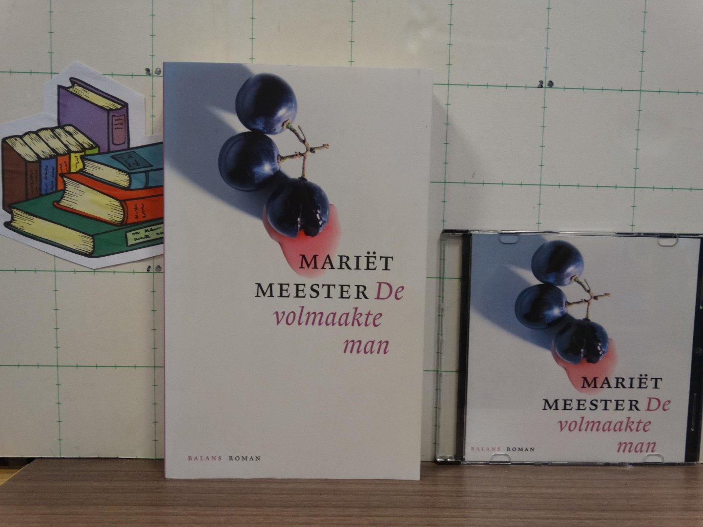 Meester, Mariët - De volmaakte man