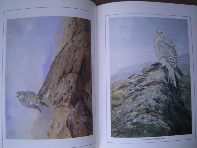 John Savory - George Lodge artist naturalist