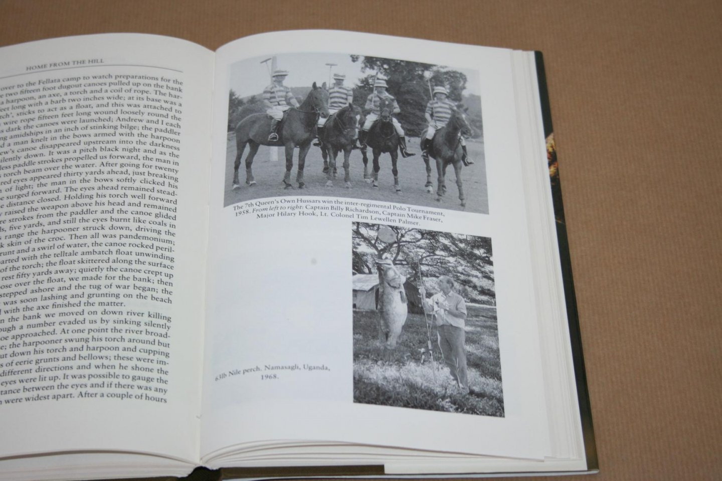 Hilary Hook - Home from the Hill