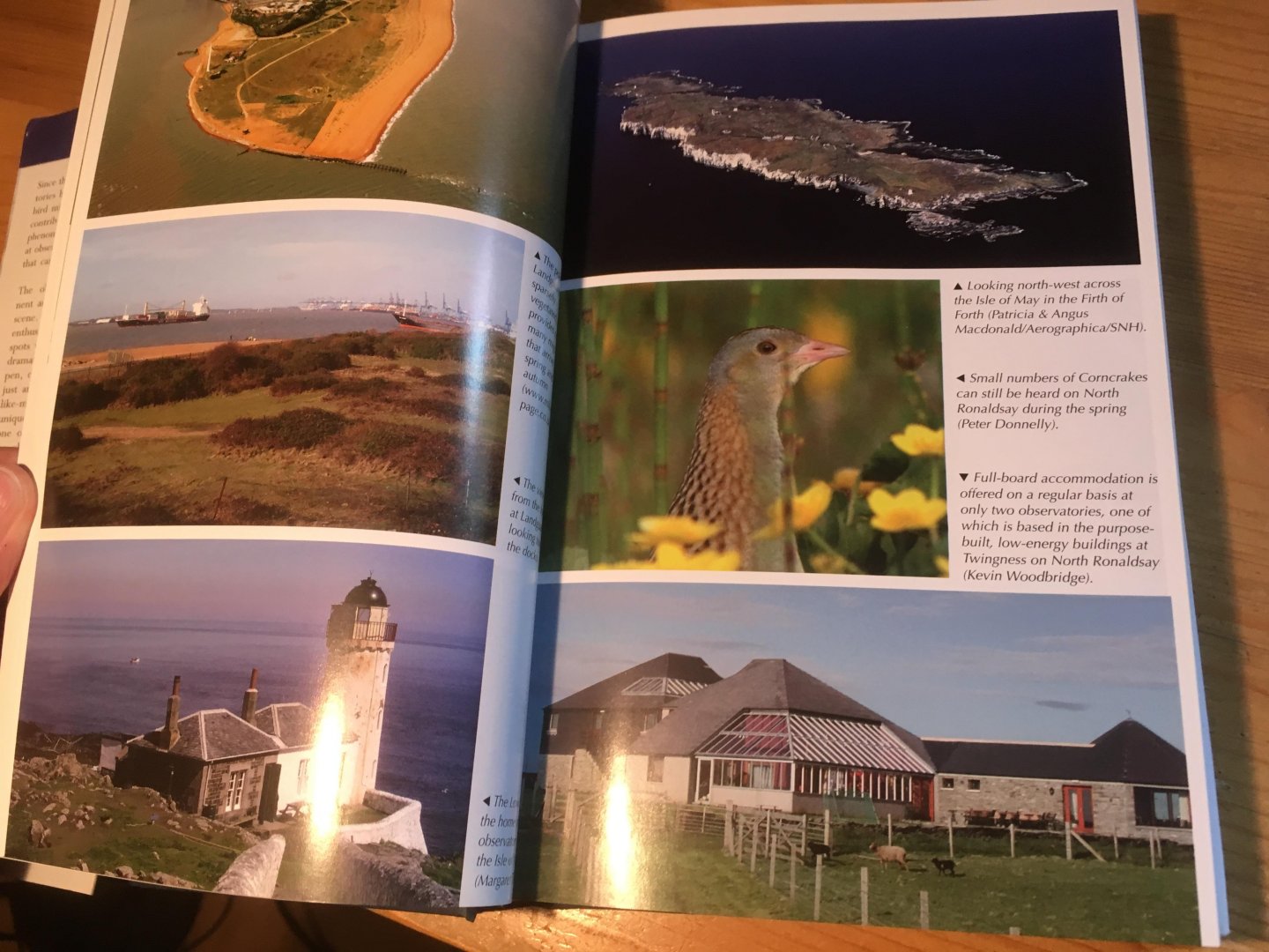 Archer, Grantham, Howlett, Stansfield - Bird Observatories of Britain and Ireland