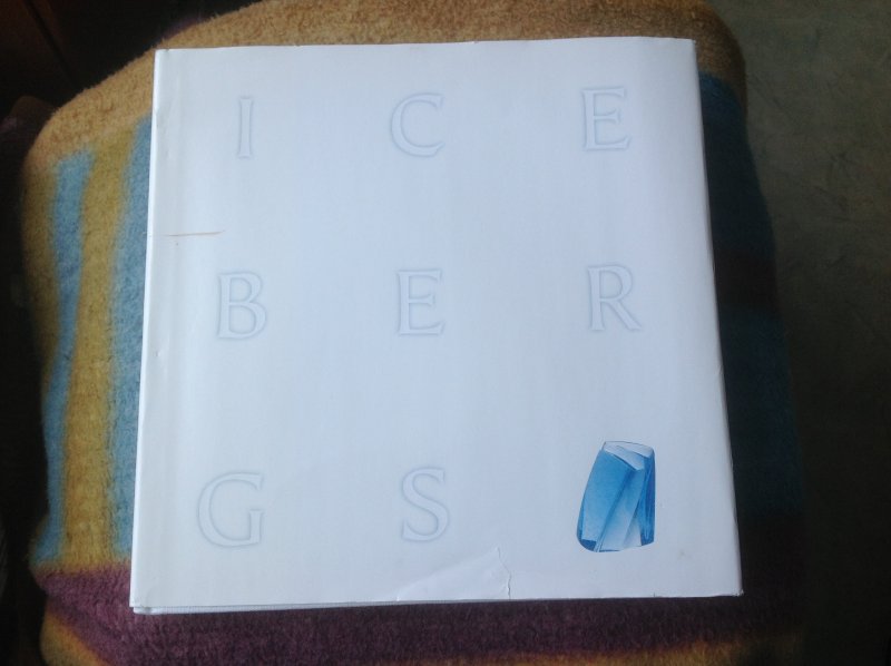 Bremers, P.G. - Icebergs & Paraphernalia / druk 1 / Peter Bremers