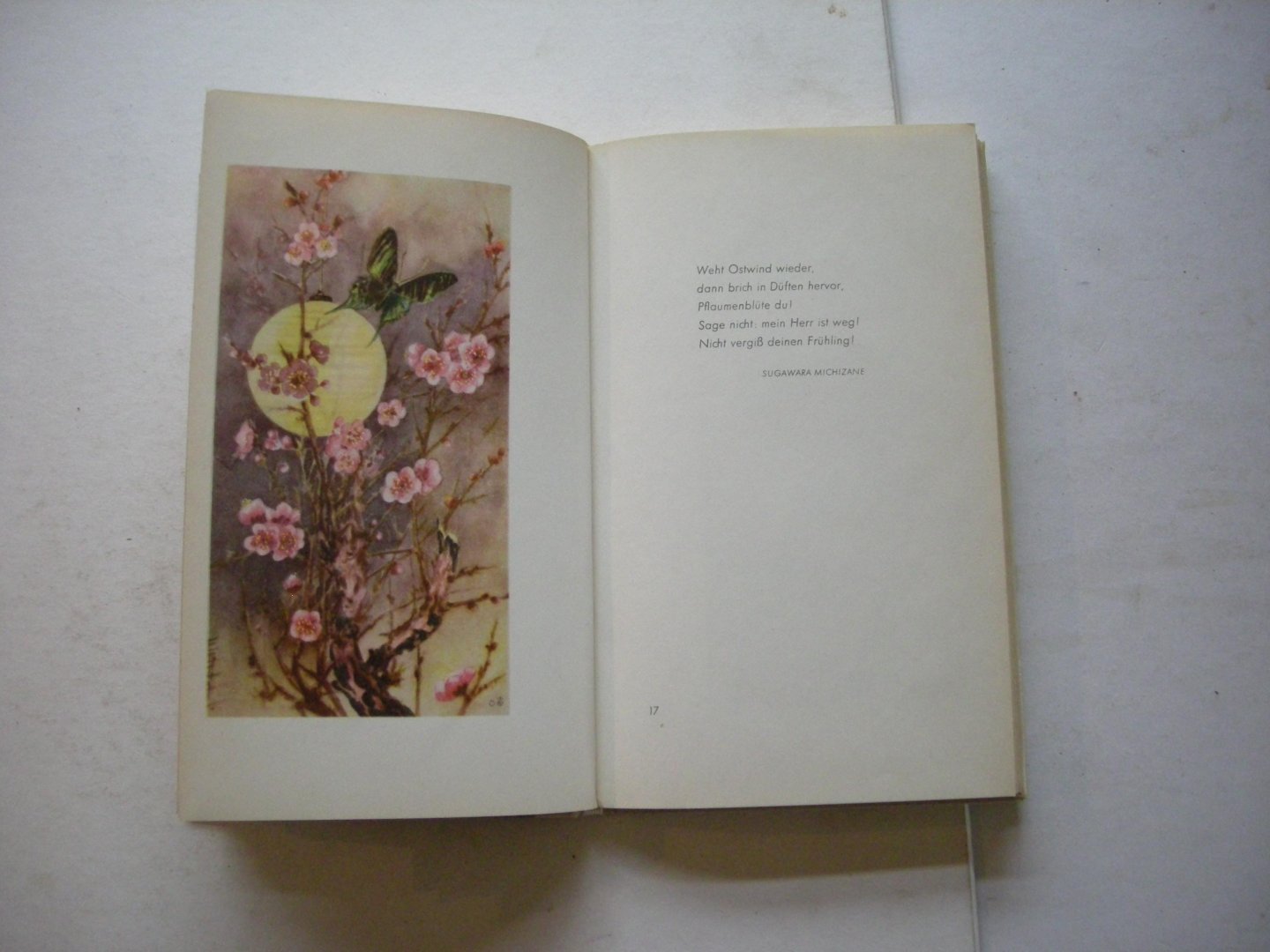 Tagore e.a. / Christoffel, illustraties - Kirschblute und Nachtigall. Worte aus dem fernen Osten zu 24 Aquarellen von Christoffel