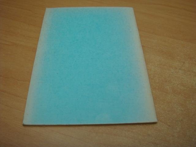 Delleman, Th jr - Het vasten-vraagstuk