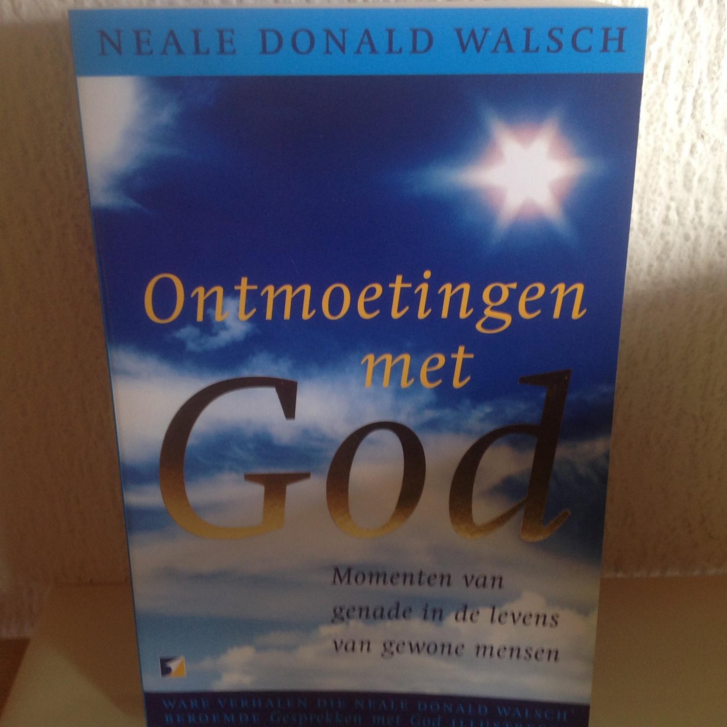 Donal Walsch - Ontmoetingen met God / momenten van genade in de levens van gewone mensen