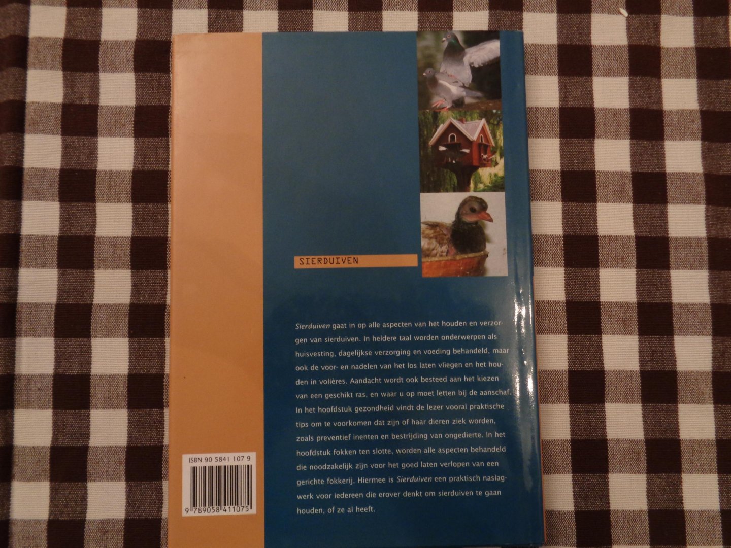 aad rijs - Sierduiven