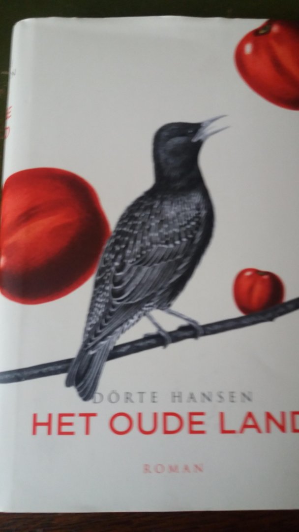 Hansen, Dörte - Het oude land