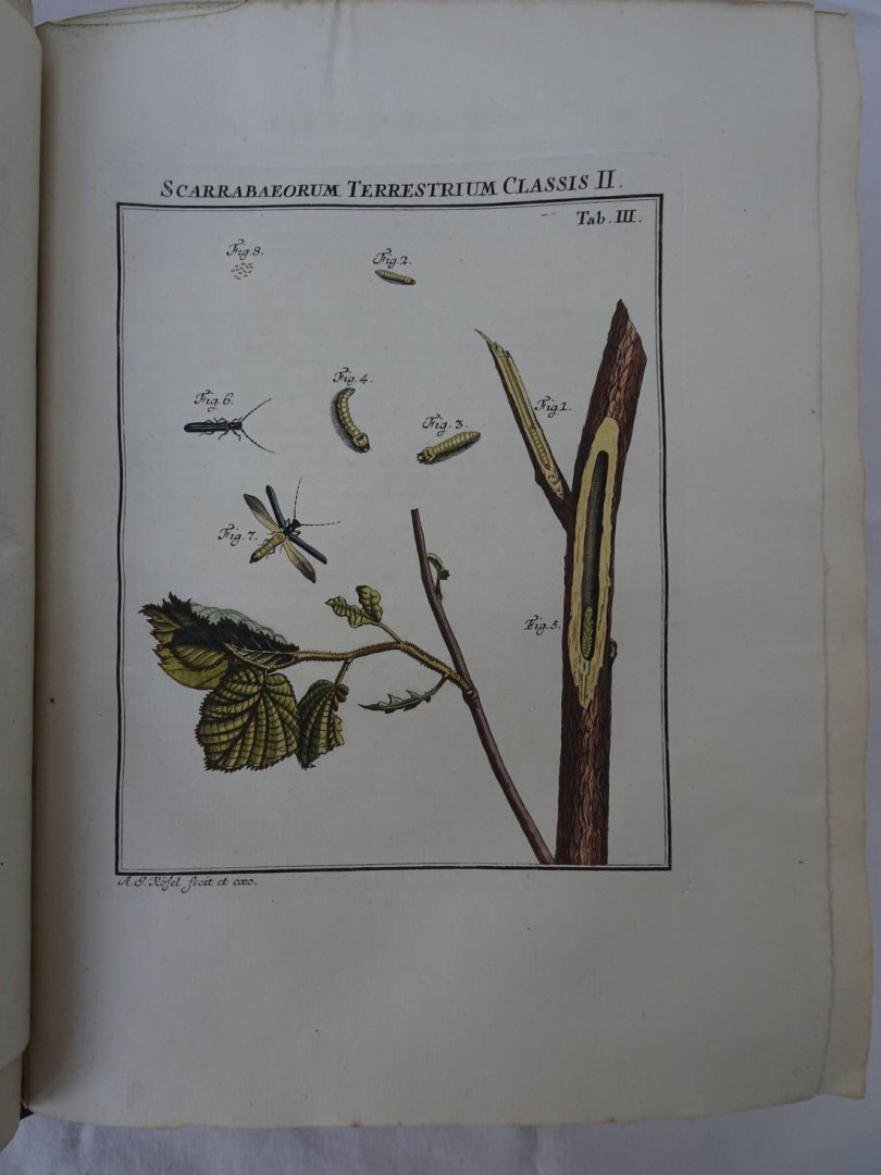 Rösel von Rosenhof, August Johan and C.FC. Kleemann. - De natuurlyke historie der insecten. Voorzien met naar `t Leven getekende en gekoleurde Plaaten. Volgens eigen ondervindling beschreeven, door de Heer August Johann Rösel, van Rosenhof, Miniatuur-Schilder. Met zeer nutte en fraaie Aanmerkingen...
