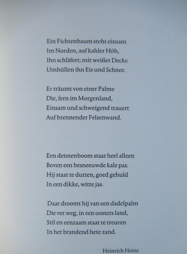 Rozier, Gilles - Land zonder liefde - Een liefde zonder verzet